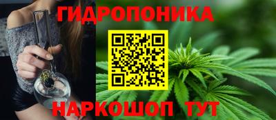 apvp Лесосибирск