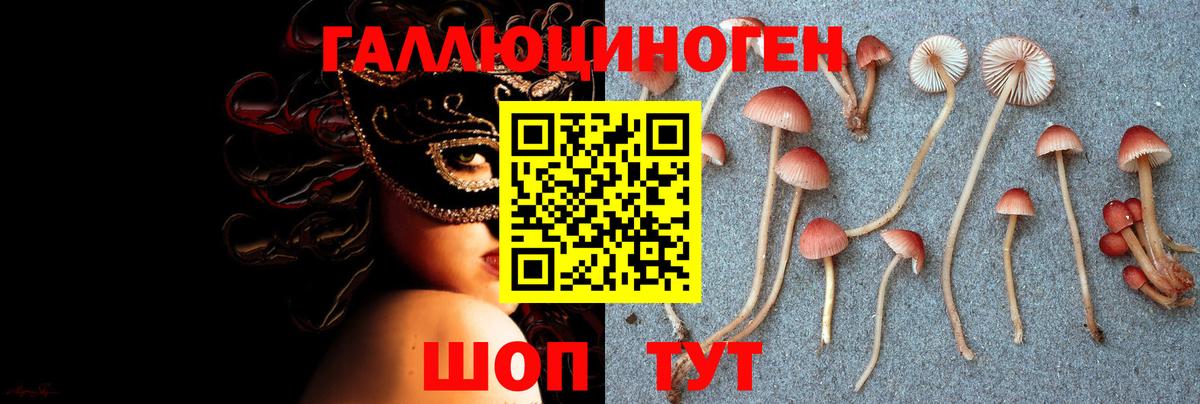 Галлюциногенные грибы ЛСД  Вход с VPN  наркота  Горячий Ключ  Псилоцибиновые грибы Psilocybe 